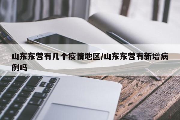 山东东营有几个疫情地区/山东东营有新增病例吗