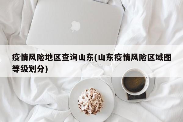 疫情风险地区查询山东(山东疫情风险区域图等级划分)