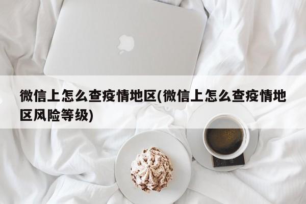 微信上怎么查疫情地区(微信上怎么查疫情地区风险等级)
