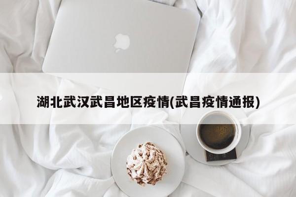 湖北武汉武昌地区疫情(武昌疫情通报)